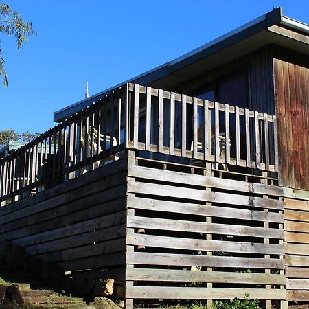 Clifton Beach Lodge Port Campbell Zewnętrze zdjęcie