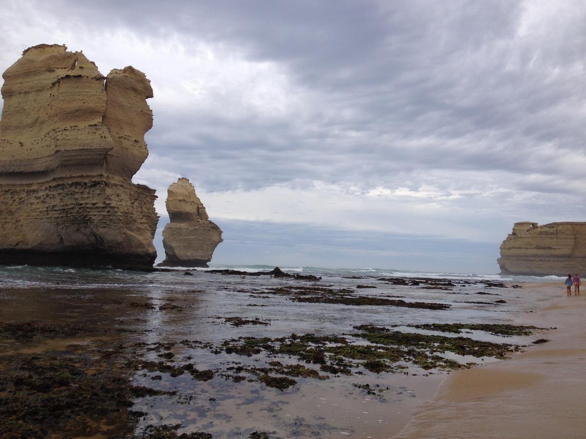 Clifton Beach Lodge Port Campbell Zewnętrze zdjęcie