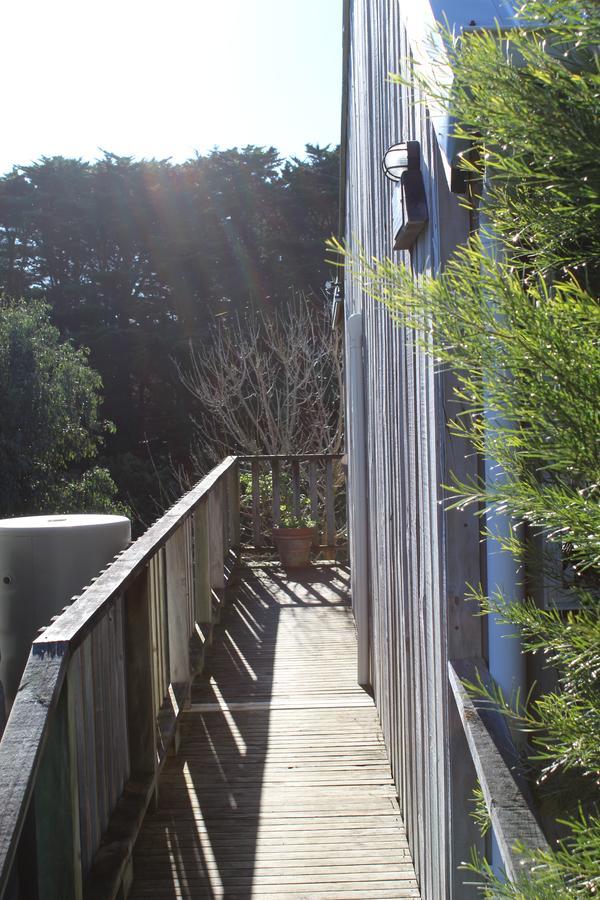 Clifton Beach Lodge Port Campbell Zewnętrze zdjęcie